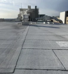 Roof Roslyn